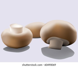 Vector Illustration of three mushrooms