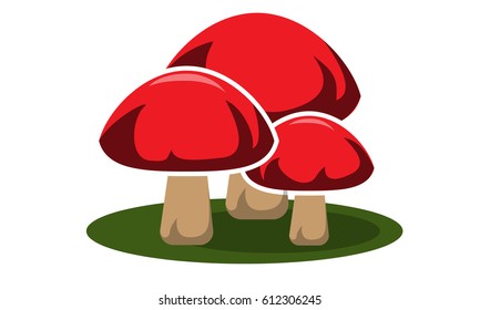 Vector illustration of three mushrooms on a green background