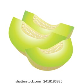 Vektorgrafik von drei Teilen grüner Melone auf weißem Hintergrund. Cucumis melo
