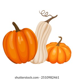 Vector illustration of three pumpkins, featuring one large orange pumpkin, a beige squash in the center, and a smaller orange pumpkin, representing the autumn harvest and fall season.