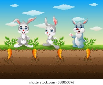 Vector illustration of Three rabbits cartoon in the carrot garden