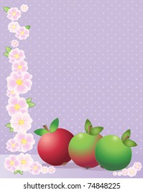 vector illustration of three red and green apples with apple blossom on lavender background in eps 10 format