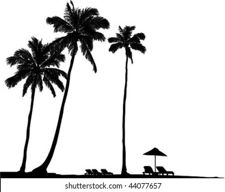 Vector illustration of three palm’s silhouette