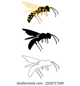 Vector illustration in three styles outline, silhouette, flat design, on the theme of an insect wasp in flight. For printing on textiles