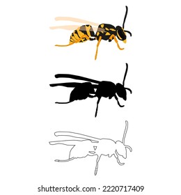 Vector illustration in three styles outline, silhouette, flat design, on the theme of the wasp insect. For printing on textiles