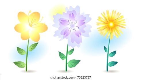 Vector illustration of three summer flowers isolated on white