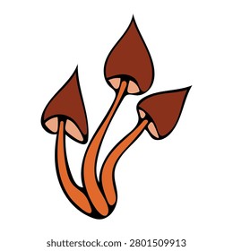 Vector illustration of three tall thin mushrooms. Group of stylized mushrooms with pointed brown caps and long stems. Composition on white background.