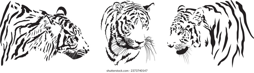 Vector illustration of three tiger heads