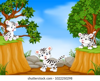 vector illustration of three tiger with mountain cliff scene