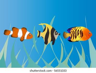 Vector illustration of three tropical fishes in the sea