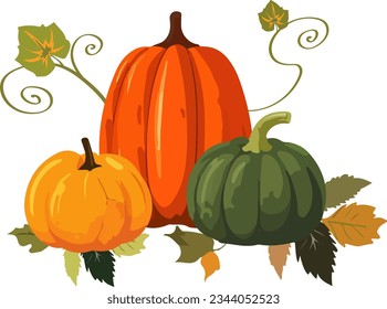 Vector illustration of three various colorful cartoon style pumpkins with leaves on white background. 