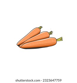 Ilustración vectorial de tres zanahorias muy frescas