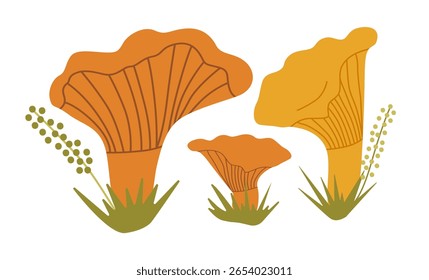 Vector illustration of three vibrant chanterelle mushrooms surrounded by simple abstract foliage elements in warm orange and yellow tones, highlighting their natural beauty and elegance.