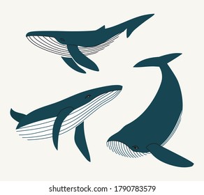 Vector illustration of three whales isolated on beige background. Undersea world. Marine life. Hand-drawn illustration in flat style. 