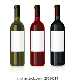 blank wine bottle vector