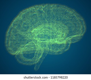 Vector illustration, three-dimensional brain on a dark background