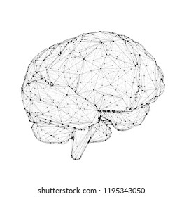 Vector illustration, three-dimensional brain on a white  background