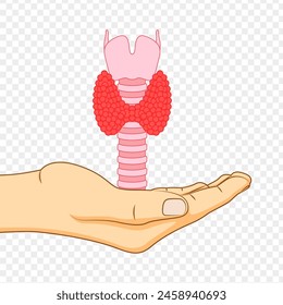 Vector illustration of thyroid gland in hand on transparent background