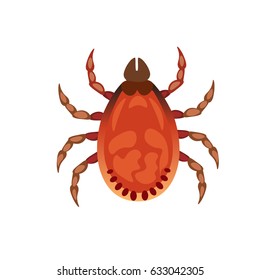 Vector illustration of tick. Mite isolated on white background.