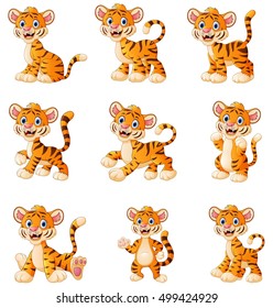 Vector illustration of  Tiger cartoon set collection 