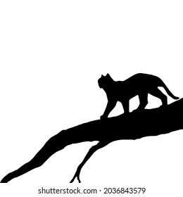 Vector illustration of tiger, cat, animal silhouette on tree.