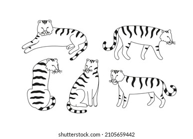 Vector illustration of tiger characters in various poses. Hand-drawn cartoon vector set, line art. Large mammal of the cat family. Animals of Asia.