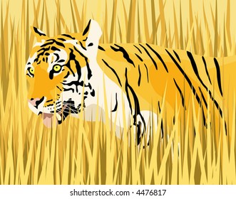 Vector illustration of a tiger in dry grass with tiger and grass as separate elements