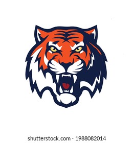 vector illustration Tiger face Graphic in white background