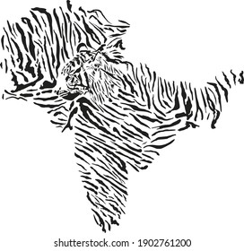 vector illustration of a tiger fur pattern and tiger head background in the shape of the Indian Peninsula