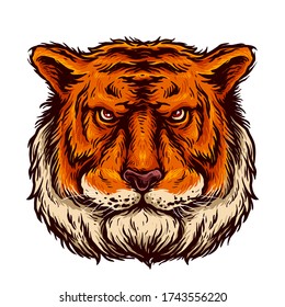 vector illustration of tiger head