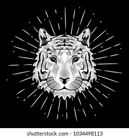 Vector illustration with a Tiger head and divergent rays. Used for poster, banner, web, t-shirt print, bag print, badges, flyer, logo design and more.