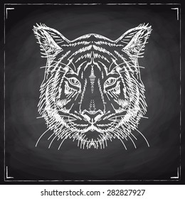 Vector illustration with tiger head. Hand drawn sketch. Chalkboard.