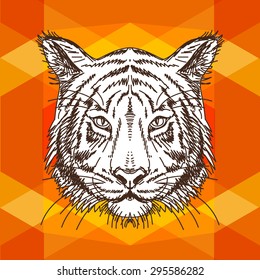 Vector illustration with tiger head. Hand drawn sketch. Wild animal illustration.