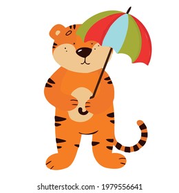 Vector illustration with a tiger holding an umbrella in the rain. The tiger cub is hiding from the rain.