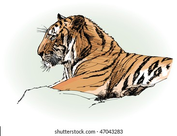 vector illustration of a tiger in jungle