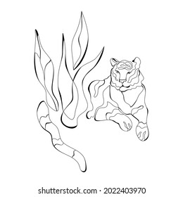 Vector illustration of a tiger lies in the plants. Line art drawing, black outline isolated on white background.