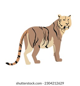 Vector illustration of a tiger on a white background. endangered animals