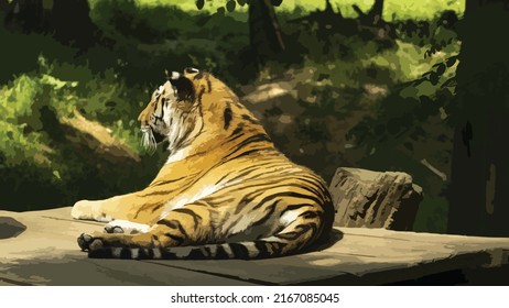 Vector illustration of a tiger resting on a wooden stage. View slightly from the back and side. Lying tiger. Dangerous predator, big cat. Stripes, orange and black. Wild nature.