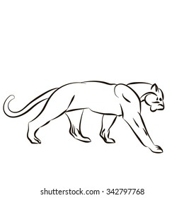 Vector illustration with tiger silhouette isolated on white background