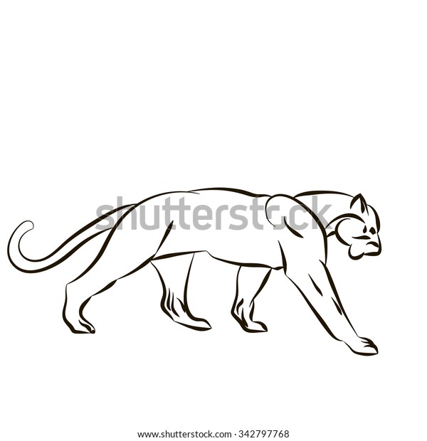 Vector Illustration Tiger Silhouette Isolated On Stock Vector (Royalty ...