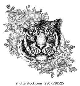 Vector illustration of a tiger surrounded by rose flowers in engraving style