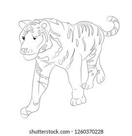 vector illustration of a tiger that goes, drawing by lines, vector, white background