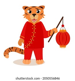 vector illustration of a tiger in a traditional costume and a flashlight in his hand for celebrating the Chinese New year. Isolated on a white background