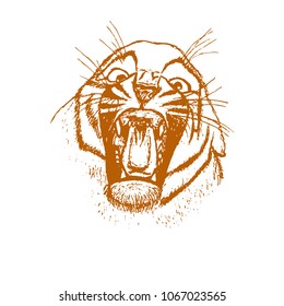 Vector illustration of a tiger's mouth, an engraving drawn by hand