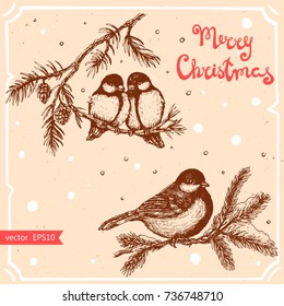 Vector illustration of tit on the christmas tree,text Merry Christmas on the background with abstract paper texture,retro frame.Tree branch with bird sketch.Linear art in vintage style for your design