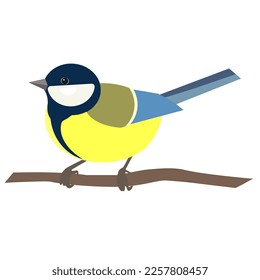 Vector illustration with tit on white background. Template for postcard, poster, web design. Tit bird vector illustration. Great tit bird sitting on branch on white background