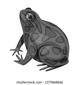 Vector illustration of toad and biology logo. Set of toad and tropical vector icon for stock.