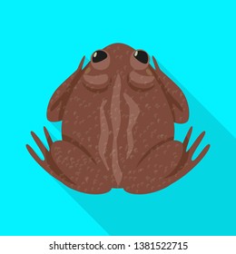 Vector illustration of toad and biology logo. Collection of toad and tropical stock vector illustration.