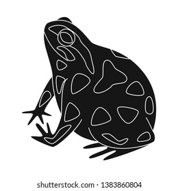 Vector illustration of toad and biology sign. Set of toad and tropical vector icon for stock.