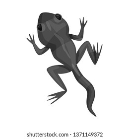 Vector illustration of toad and green icon. Set of toad and toxic stock symbol for web.
